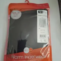 Item thumbnail for item 8102115a-bc47-4b26-a204-21b1a994ffdf