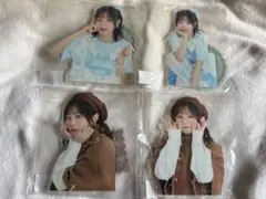 櫻井陽菜SakurariumMeeting向日葵の章ブロマイド セミコンプリート