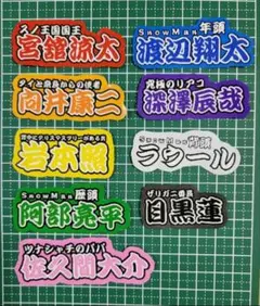 SnowMan オーダー 9枚