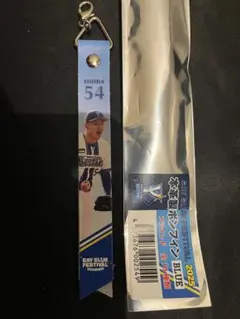 横浜DeNAベイスターズ ファンフェスティバル ボンフィン 石田祐太郎