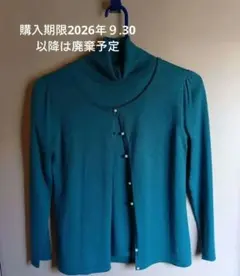 any SiS タートルネックニット アンサンブル グリーンのサムネイル