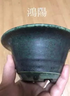 鴻陽　盆栽鉢　小品盆栽　山野草 鴻陽 盆栽鉢 小品盆栽 山野草 鴻陽 盆栽鉢 小品盆栽 山野草