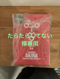 大友克洋全集　応募券、ステッカー11枚セット Amazon.co.jp: 大友克洋全集 AKIRA セル画展 全集ステッカー