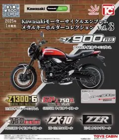 2026年最新】カワサキ キーホルダーの人気アイテム - メルカリ