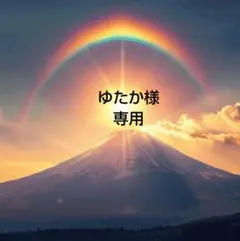 ゆたか様 リクエスト 2点 まとめ商品