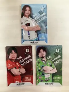 稲垣 亜衣プロ・有原 竜太プロ・酒井 素プロ 限定ダーツライブカードまとめ売り