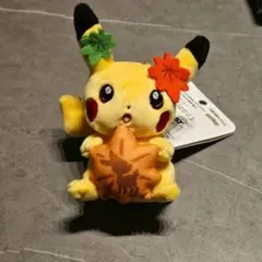 広島限定 ピカチュウ ぬいぐるみ ポケモンセンターヒロシマ　もみじまんじゅう