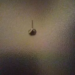 Item thumbnail for item b2170f38-ae98-45de-ba09-3faddebf95e3