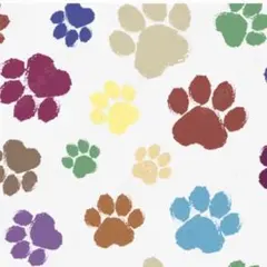 えっちゃん様　専用U^ェ^U♪