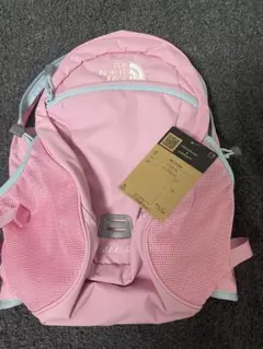 新品タグ付 ノースフェイス リュック スモールデイ プリズムピンク 15L