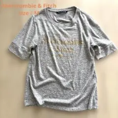 アバクロンビー/ロゴTシャツ/半袖/M/グレー/アバクロ