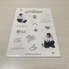 TXT ボムギュ ACT PROMISE チェキ サイン入り 公式 TXT ボムギュ 直筆サイン入り インスタントフォト チェキ