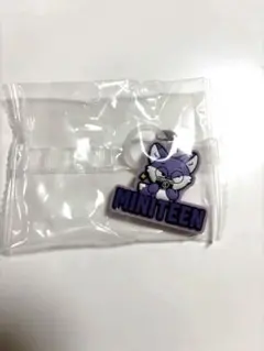 Miniteen ぷっくりめじるしアクセサリー FOXDUNGEE ウォヌ