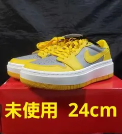 NIKE AIR JORDAN 1 ELEVATE LOW DH7004