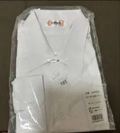 Item thumbnail for item 5578cdb5-8bad-439b-9807-9a69e70aff0c