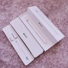 【らくメル便】ApplePencil 第1世代 Type-C変換アダプタ付き