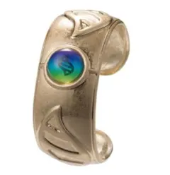 2025年最新】メガリング ポケモンの人気アイテム - メルカリ