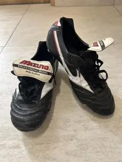 ミズノ　モレリア2