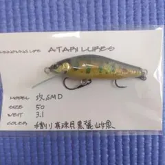 限定品】ヒトトキワークス イグナ みんなと未来図カラー 専用ルアー