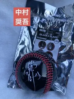 千葉ロッテマリーンズ中村奨吾選手直筆サイン入り実使用ヘルメット 千葉ロッテマリーンズ中村奨吾選手直筆サイン入り実使用
