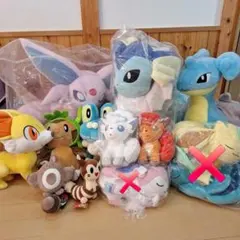 新品～目立つ汚れ無し　ポケモンセンター　ぬいぐるみ　まとめのサムネイル