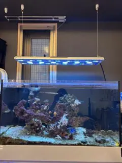 淡水水槽フルセット出品 大阪受け取り限定 淡水水槽フルセット出品