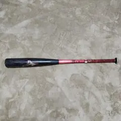 中日ドラゴンズ #3 立浪和義 選手 直筆サイン入り実使用 NPBバット