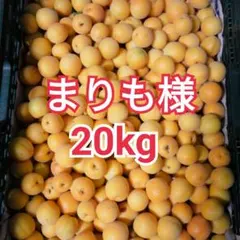 2026年最新】甲州小梅の人気アイテム - メルカリ