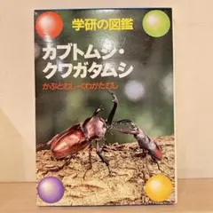 Item thumbnail for item cdb98ecb-ffc3-4c07-800d-e8e465356d6c