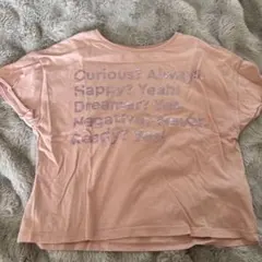 ZARA ピンク Tシャツ 10 (140cm)