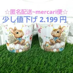 うさぎのモルタルリメイク鉢5個とピックセット＊ - メルカリ