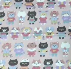 Item thumbnail for item b3175665-3ed8-40e6-9ece-cafbcb7b31e5