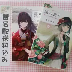 龍に恋う 3 4 贄の乙女の幸福な身の上　 2冊セット　道草家守　富士見文庫