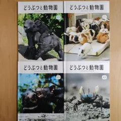 どうぶつと動物 2024年 4冊セット 東京動物園協会
