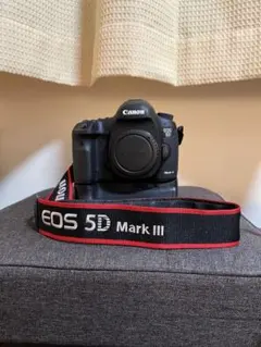 Canon EOS 5D Mark III 本体 バッテリーグリップ付 - メルカリ