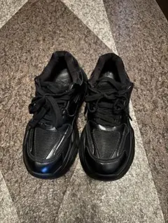 Item thumbnail for item ef45a734-dc01-4adc-9418-4e7b595d2174