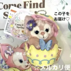 ☆ディズニー カムファインドスプリング リーナベル ぬいぐるみチャーム♡