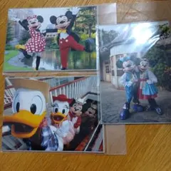 東京ディズニーリゾート キャラクター写真 3枚セットのサムネイル