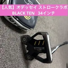 2026年最新】オデッセイ ストロークラボ tenの人気アイテム - メルカリ