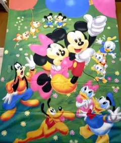 ディズニー 大判 ダブル ミッキー ブランケット フリース 毛布 軽量 速乾