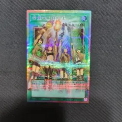 遊戯王　精霊術の使い手【プリシク】オーバーフレーム