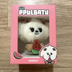 TXT PPULBATU プルバトゥ キーリング スイカ バムグッ