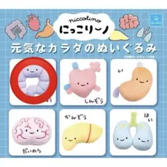 にっこりーの 元気なカラダのぬいぐるみ だいのう - メルカリ