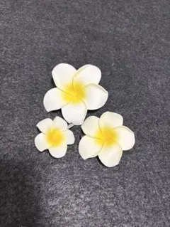 Item thumbnail for item 0224cc56-0fbe-4906-9777-463a2ae8bc3b