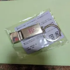 超特急ファンクラブ継続特典笛型キーホルダーのサムネイル