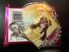 ホロライブ 極楽湯 トレーディングぐるぐるロッカーキー風キーホルダー 戌神ころね
