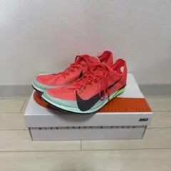 Nikeエアズームビクトリー2フェイスキピエゴン23.5cm - メルカリ