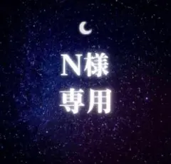 【N様 専用】