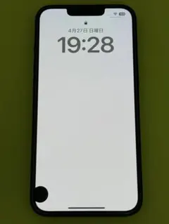 Apple iPhone 13 グリーン 本体(液晶漏れ有り) 専用