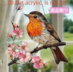 ２D　コマドリさん　小鳥 サンキャッチャー 桜 窓飾り アクリル看板371